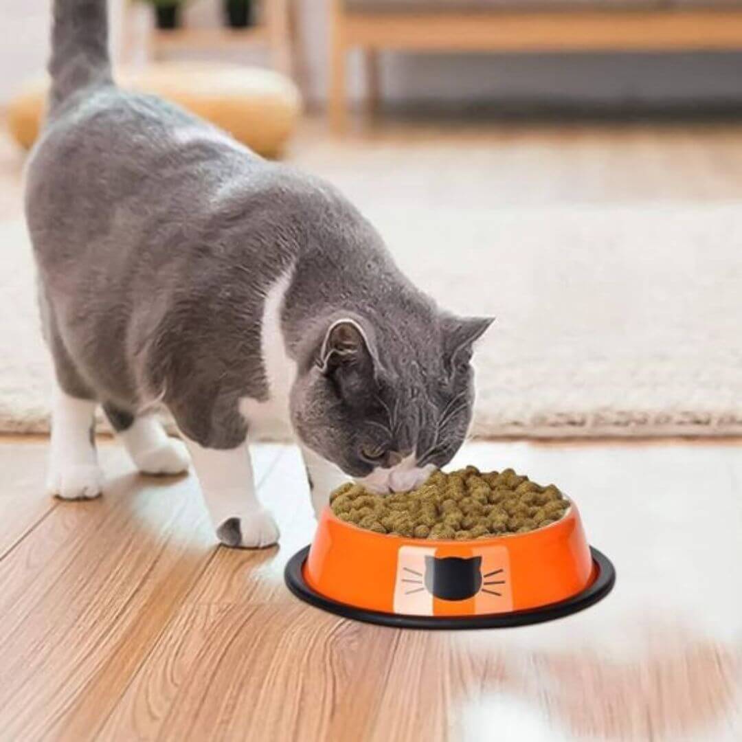 gamelle chat | chic cat bowl™ - opaschats