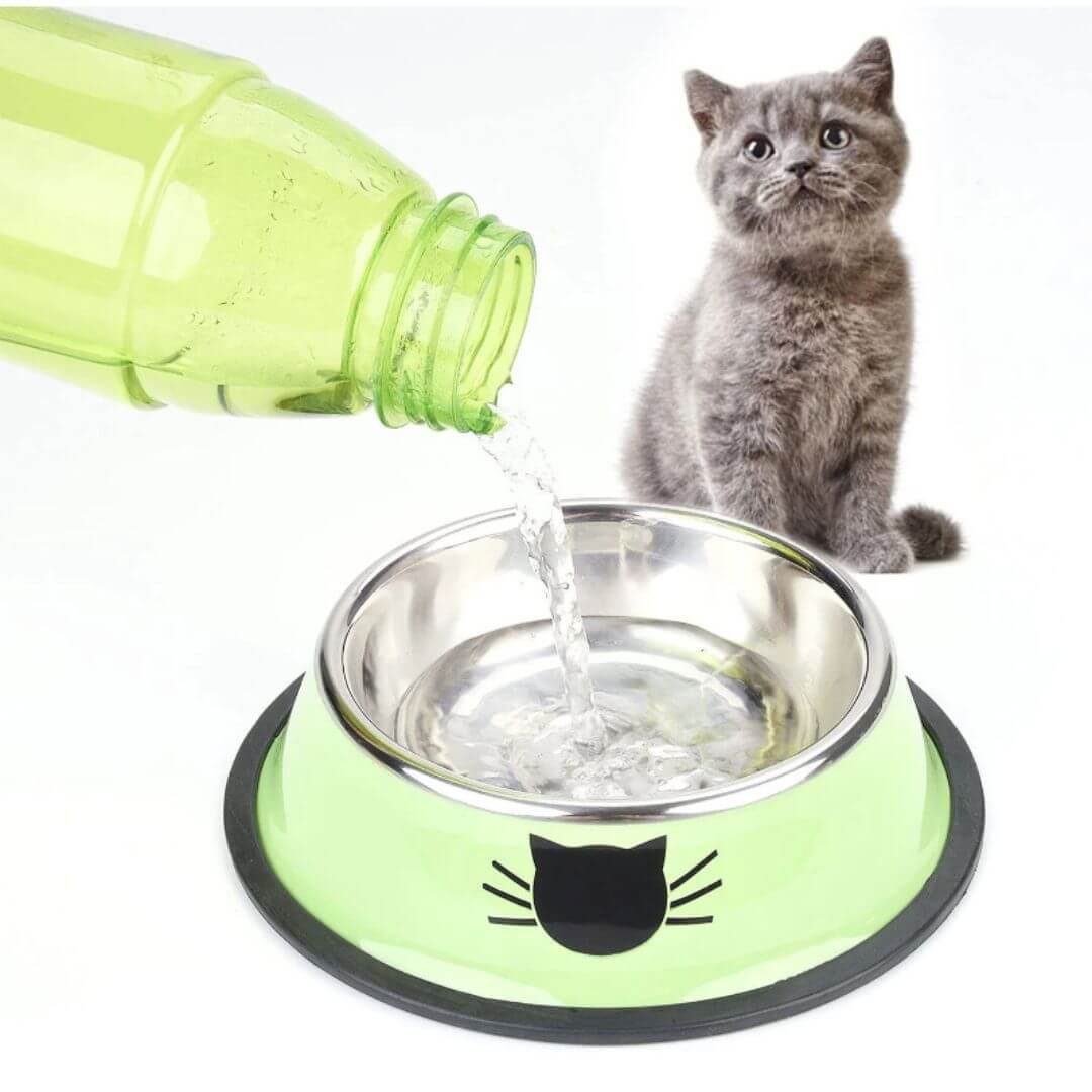 gamelle chat | chic cat bowl™ - opaschats