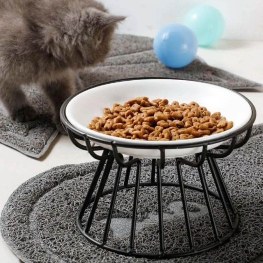 GAMELLE CHAT | Confort et élégance™ - opaschats