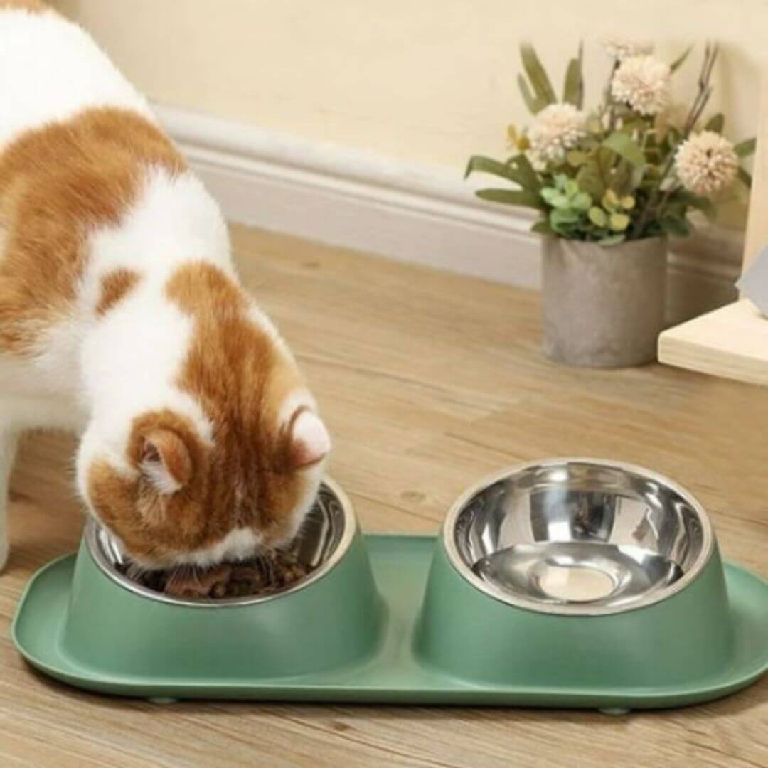 gamelle chat | duo optimale - opaschats
