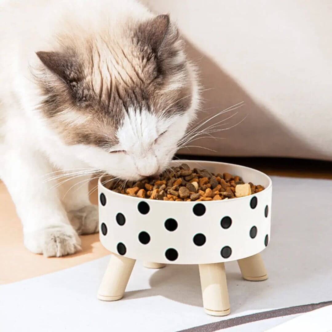 GAMELLE CHAT | Duo Polka & Check™ - opaschats