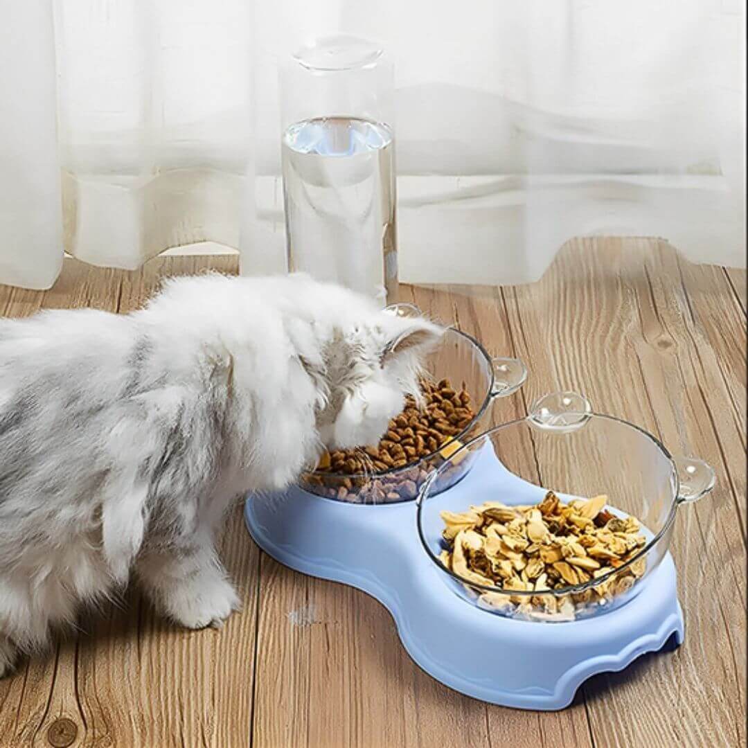 gamelle chat | feeding dish™ - opaschats