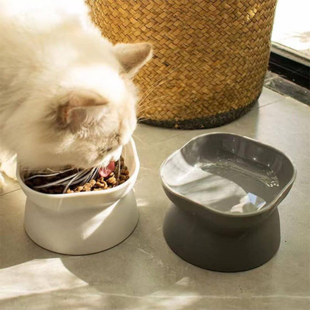 GAMELLE CHAT | Gamelle design réversible™ - opaschats