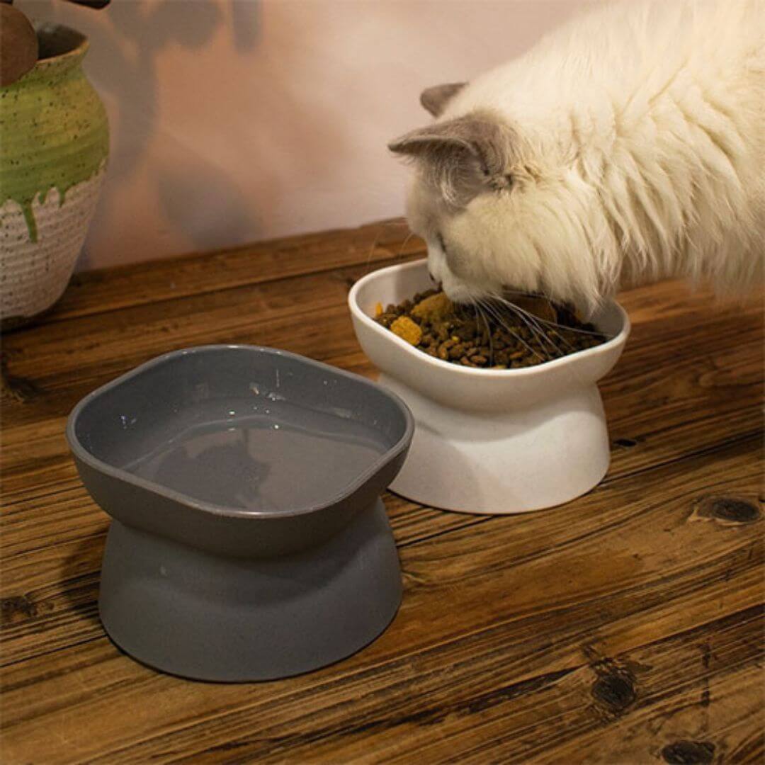 GAMELLE CHAT | Gamelle design réversible™ - opaschats