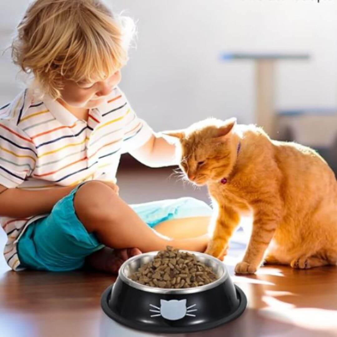 gamelle-chat-hydratation-optimale