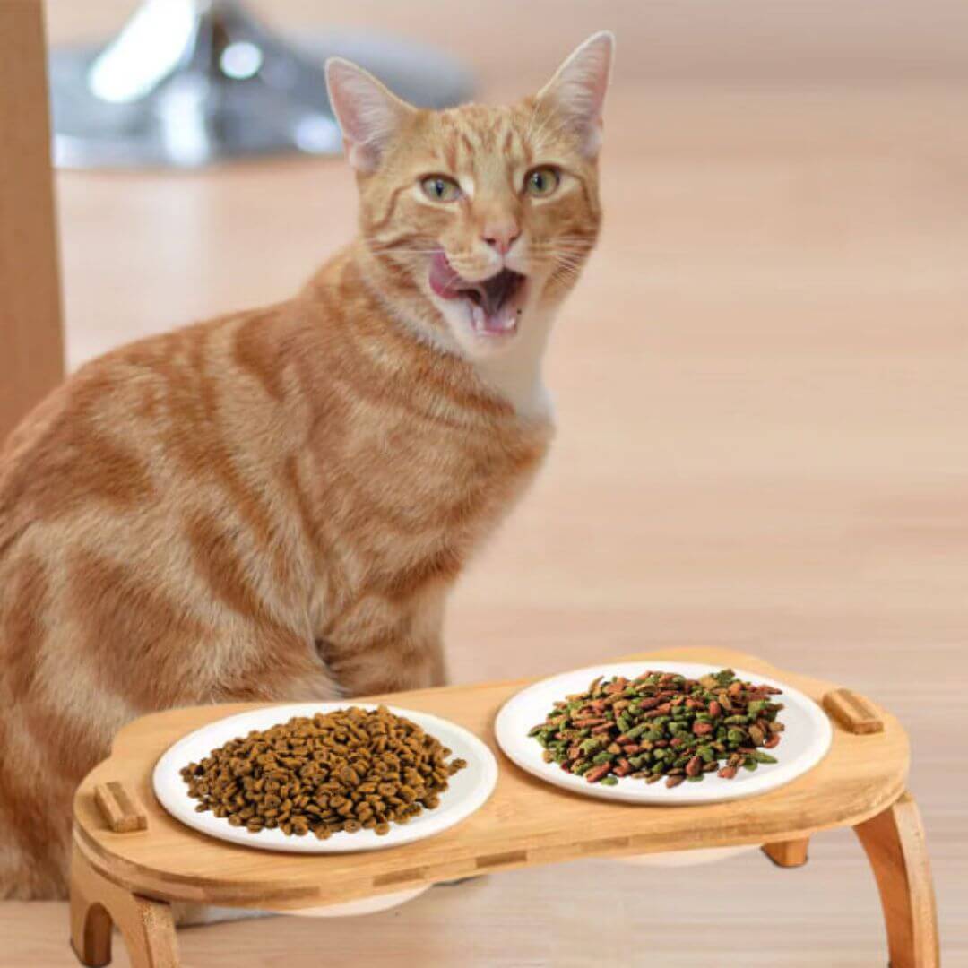 GAMELLE CHAT SURÉLEVÉE | En Bambou™ - opaschats