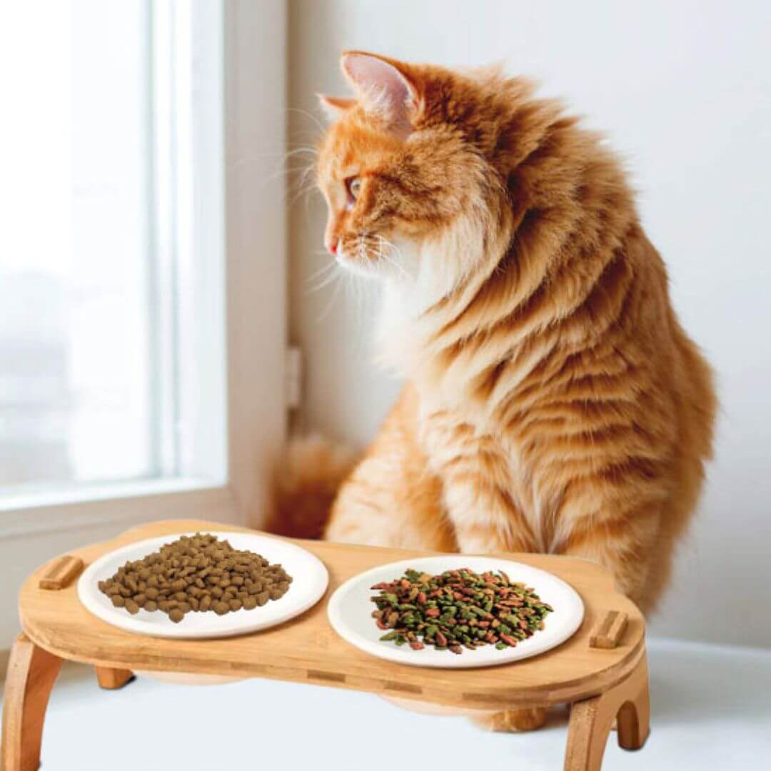 GAMELLE CHAT SURÉLEVÉE | En Bambou™ - opaschats