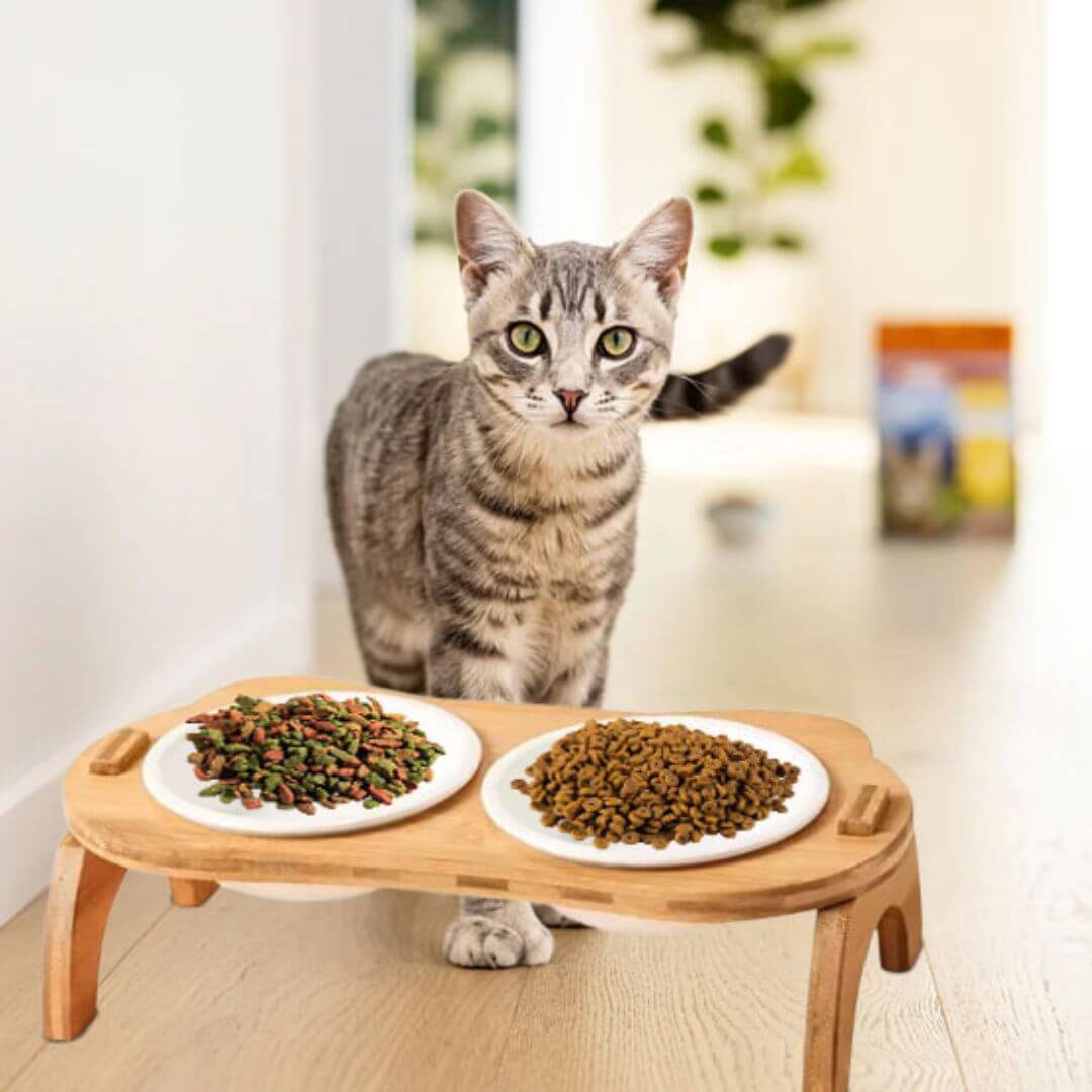 GAMELLE CHAT SURÉLEVÉE | En Bambou™ - opaschats