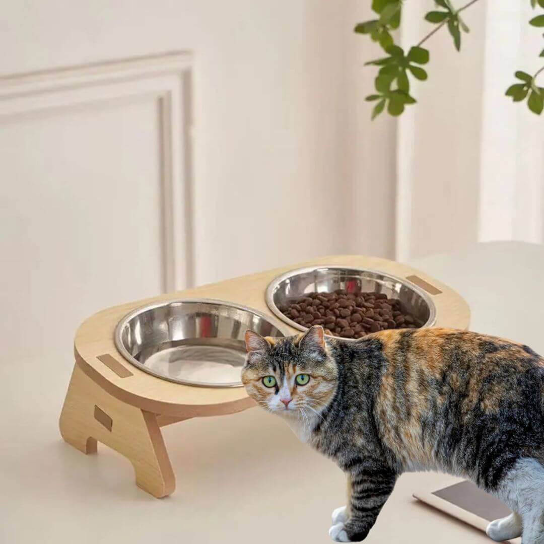 GAMELLE CHAT SURÉLEVÉE | En Bambou™ - opaschats
