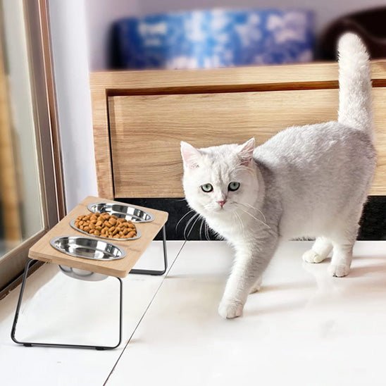 GAMELLE CHAT SURÉLEVÉE | Gourmet Elevé™ - opaschats