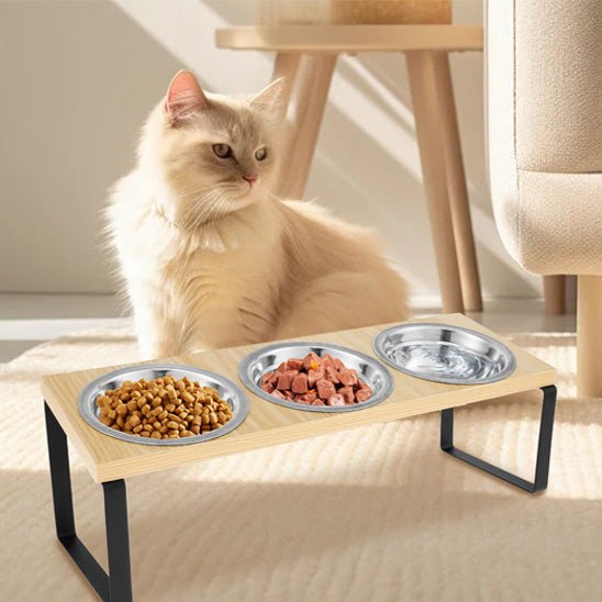 GAMELLE CHAT SURÉLEVÉE | Gourmet Elevé™ - opaschats
