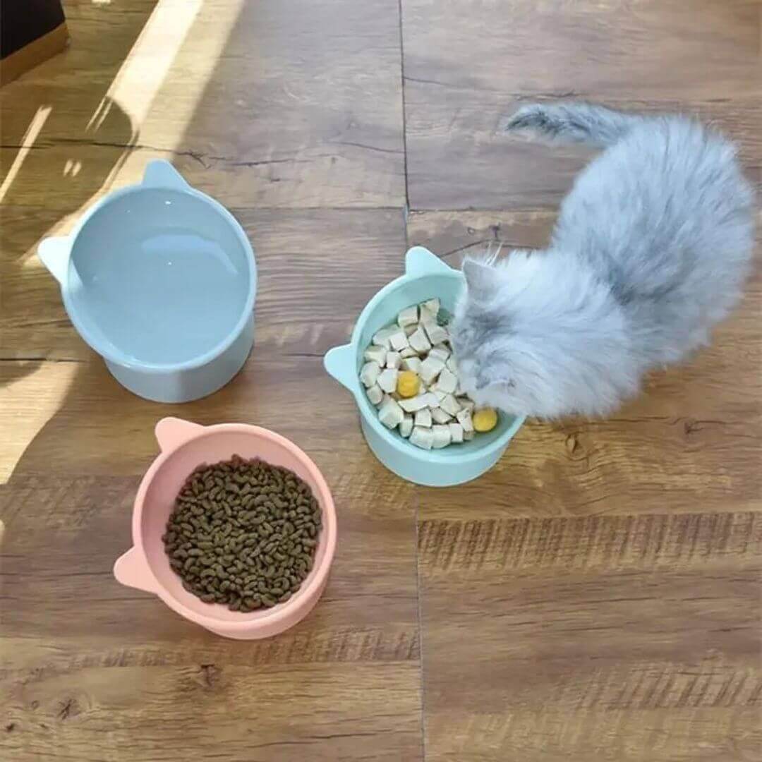 GAMELLE CHAT | transforms your cat's meal™ - opaschats