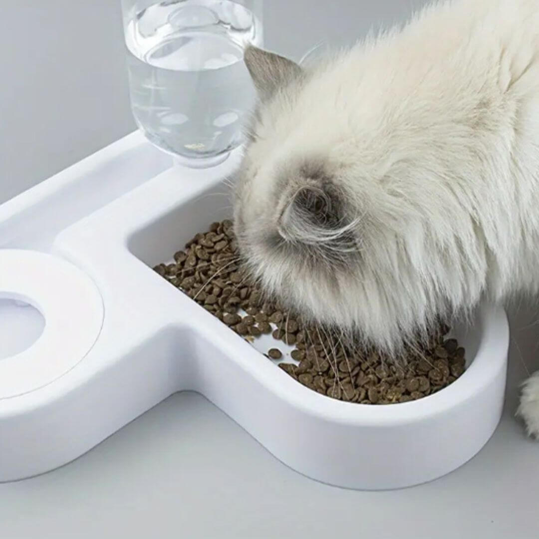 GAMELLE POUR CHAT | Angle coeur™ - opaschats
