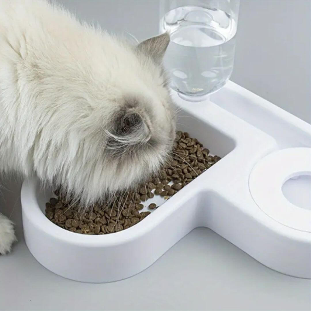 GAMELLE POUR CHAT | Angle coeur™ - opaschats