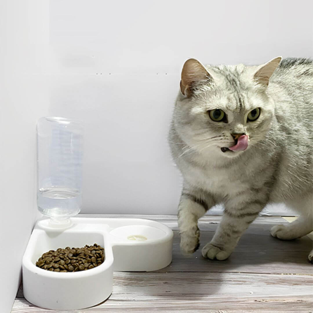 GAMELLE POUR CHAT | Angle coeur™ - opaschats