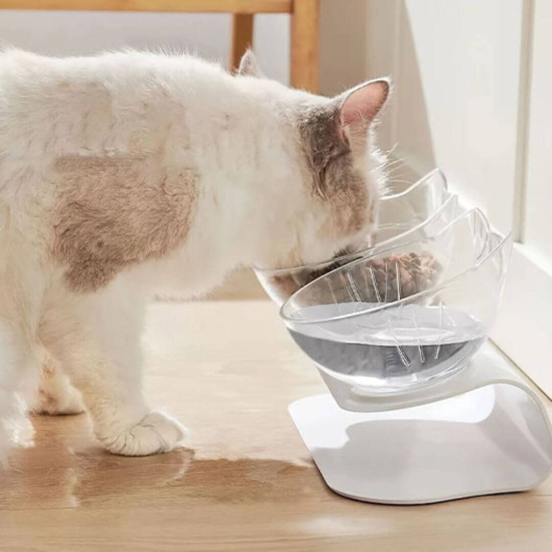 GAMELLE POUR CHAT | Élégance Tête de Chat™ - opaschats