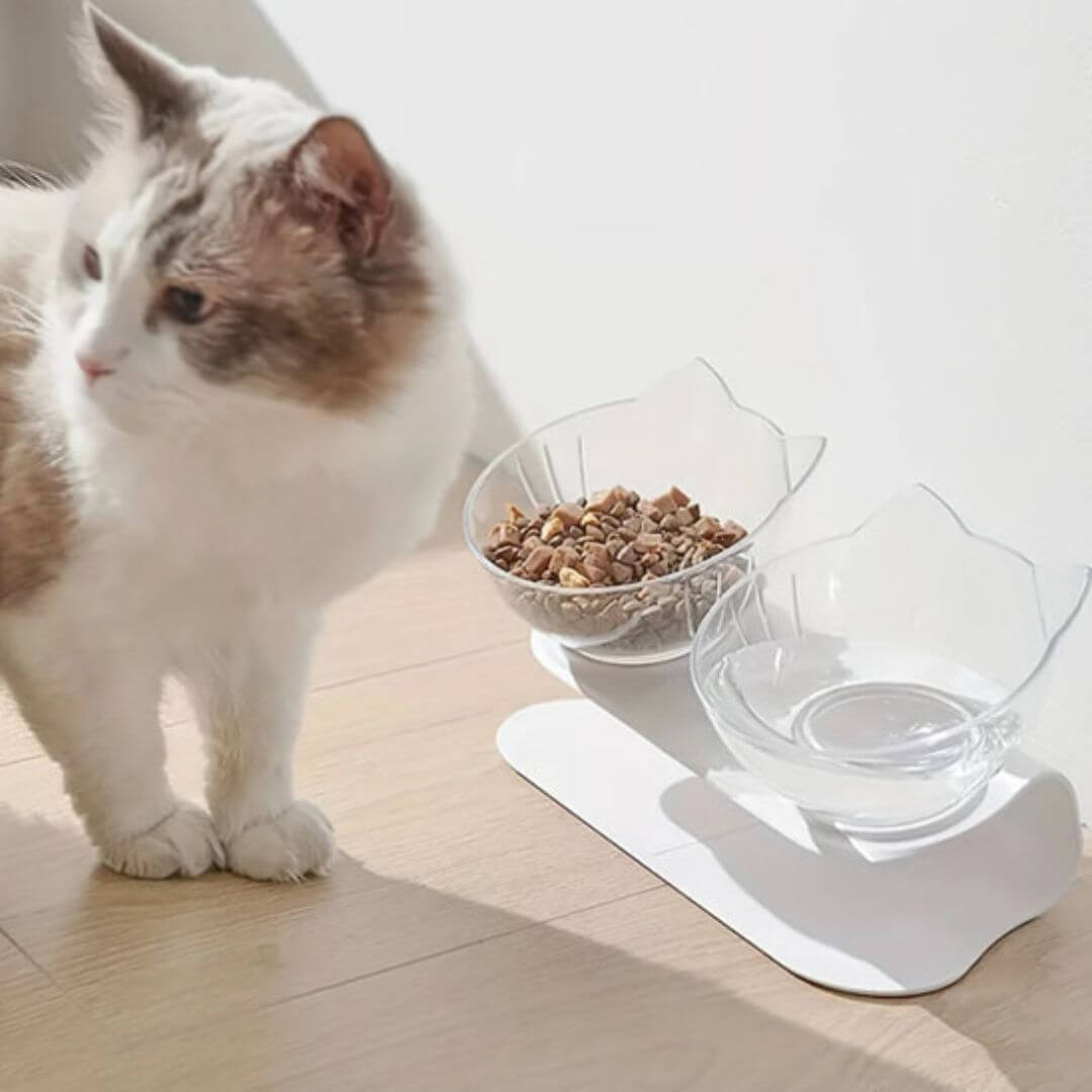 GAMELLE POUR CHAT | Élégance Tête de Chat™ - opaschats