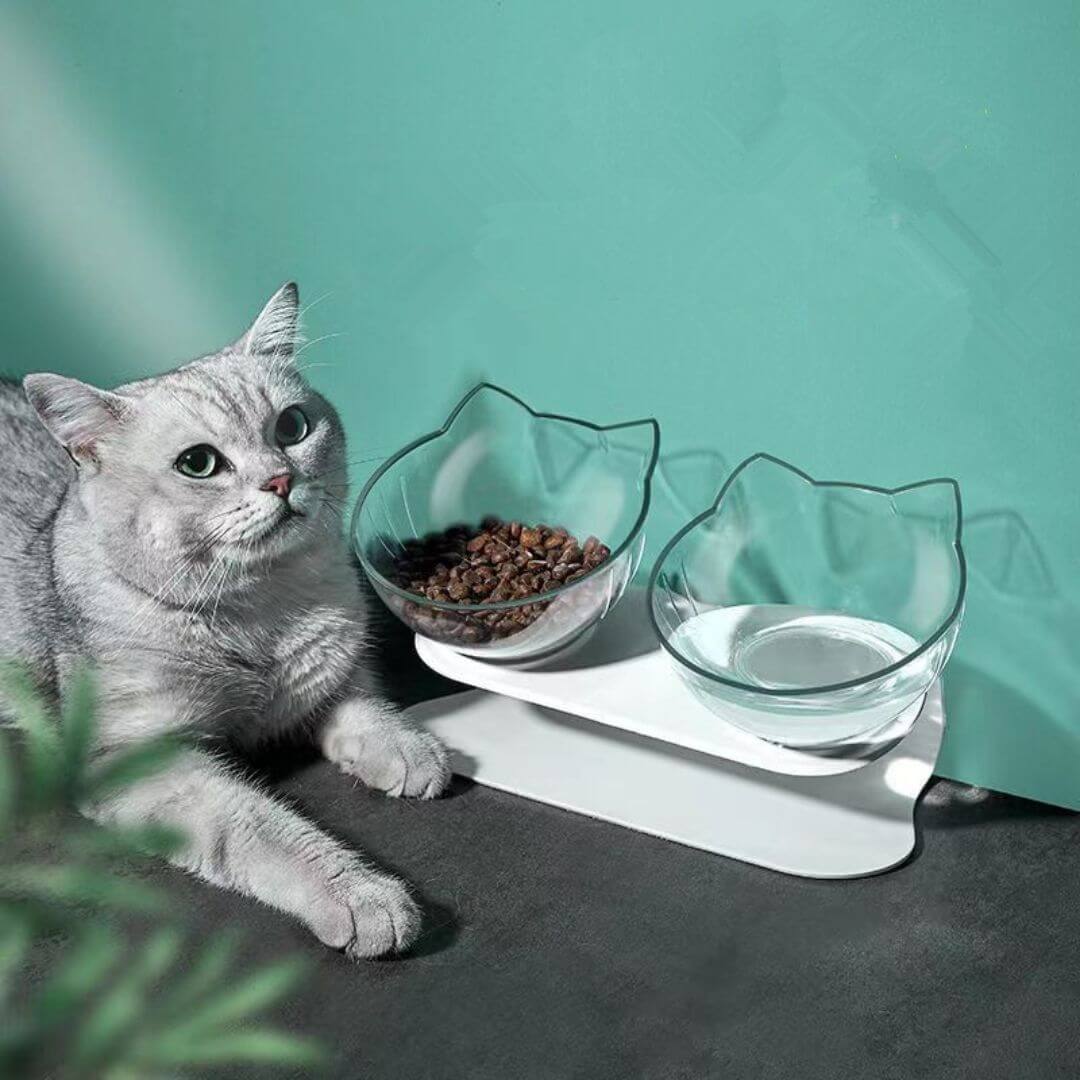 GAMELLE POUR CHAT | Élégance Tête de Chat™ - opaschats