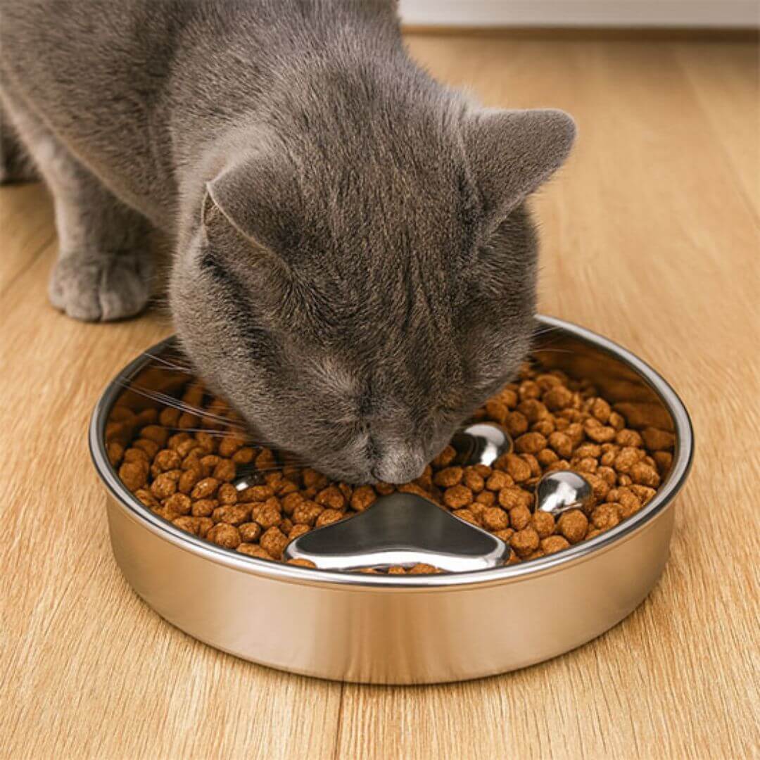 GAMELLES ANTI GLOUTON CHAT | L'alimentation lente™ - opaschats