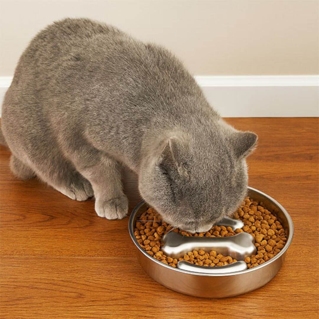 GAMELLES ANTI GLOUTON CHAT | L'alimentation lente™ - opaschats