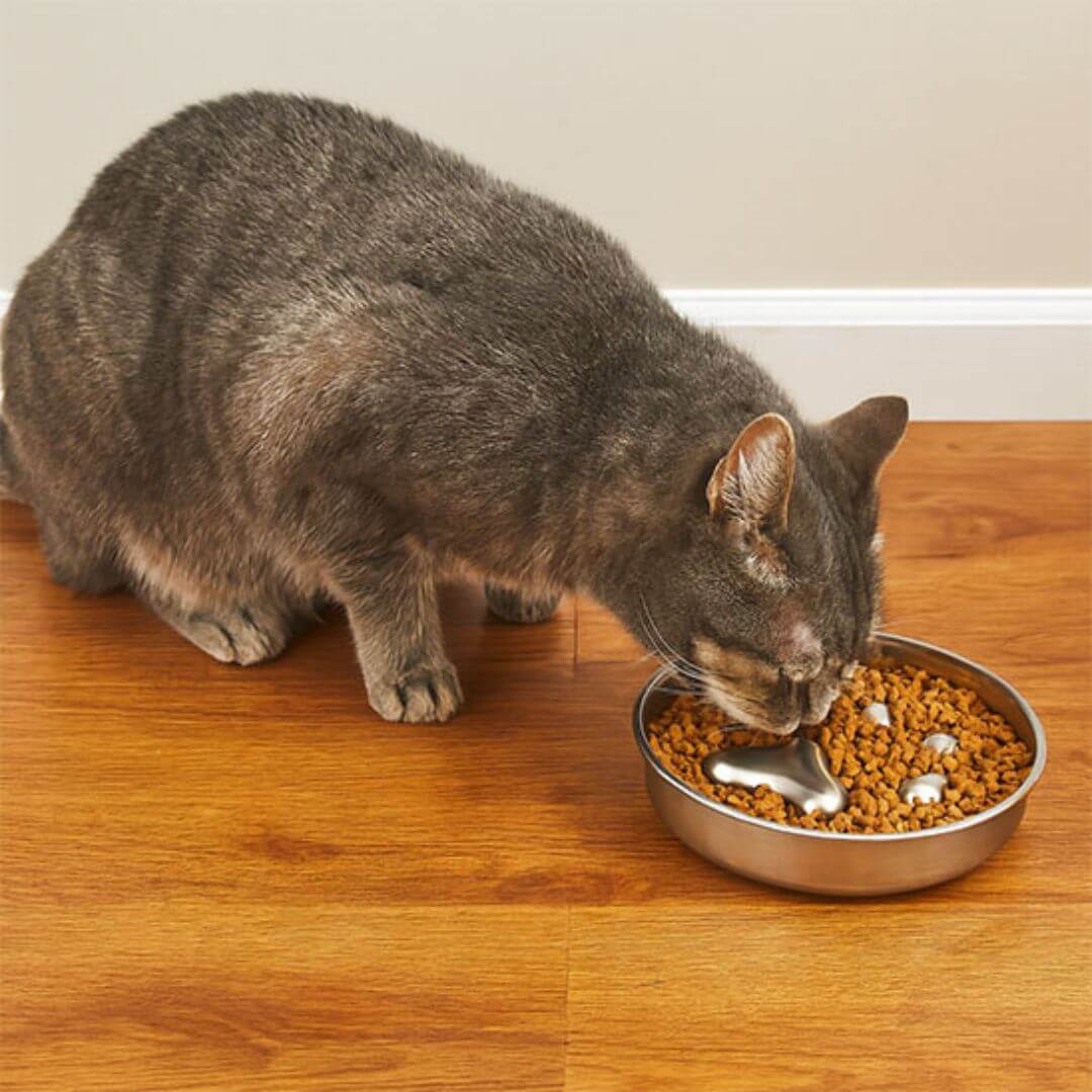 GAMELLES ANTI GLOUTON CHAT | L'alimentation lente™ - opaschats