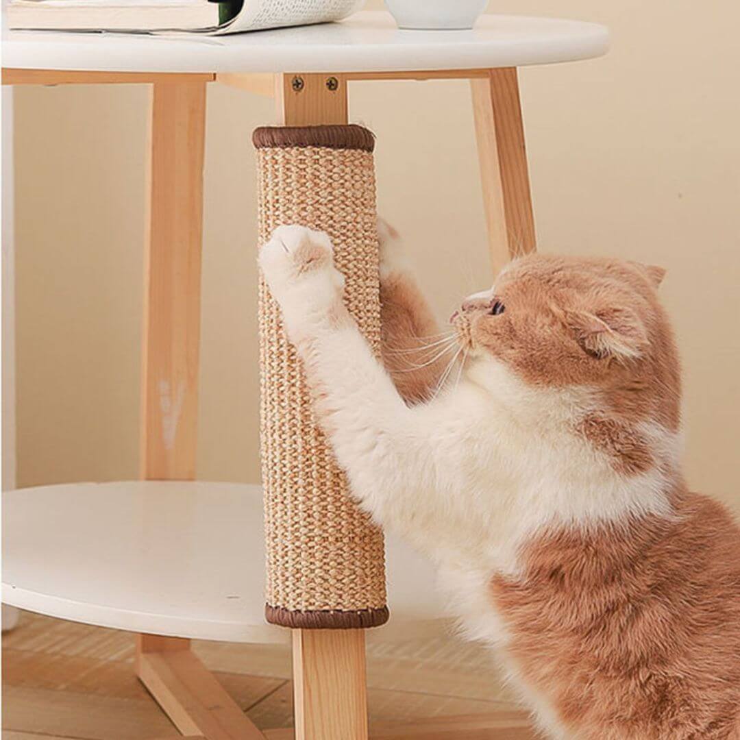GRIFFOIR CHAT | tapis protection™ - opaschats