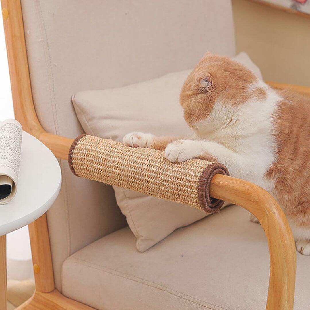 GRIFFOIR CHAT | tapis protection™ - opaschats