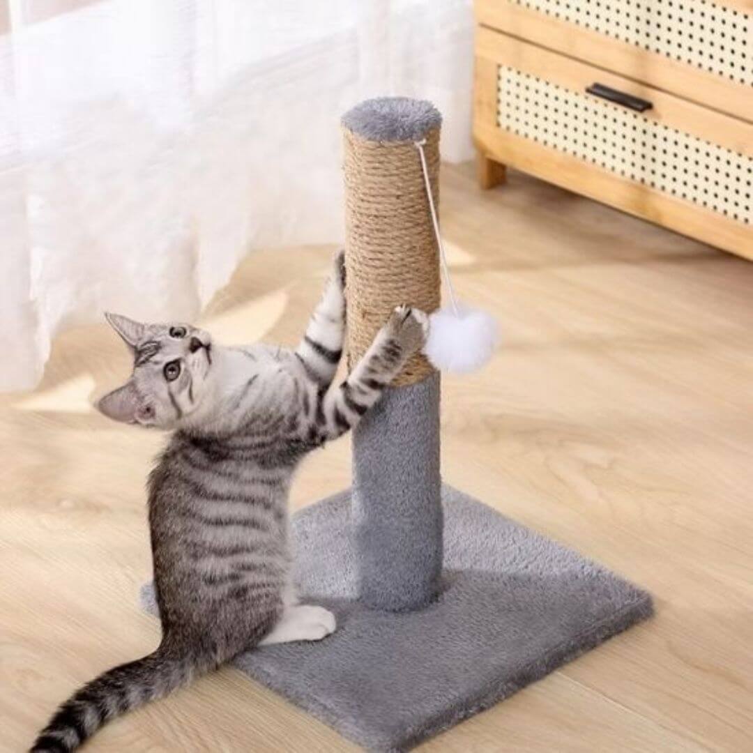 GRIFFOIR POUR CHAT | Corde en sisal™ - opaschats