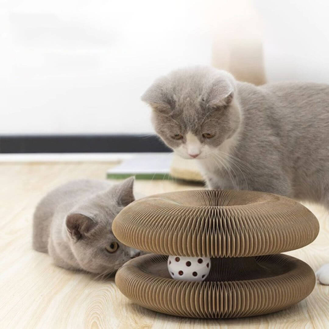 GRIFFOIR POUR CHAT | griffoir pour chat santé™ - opaschats