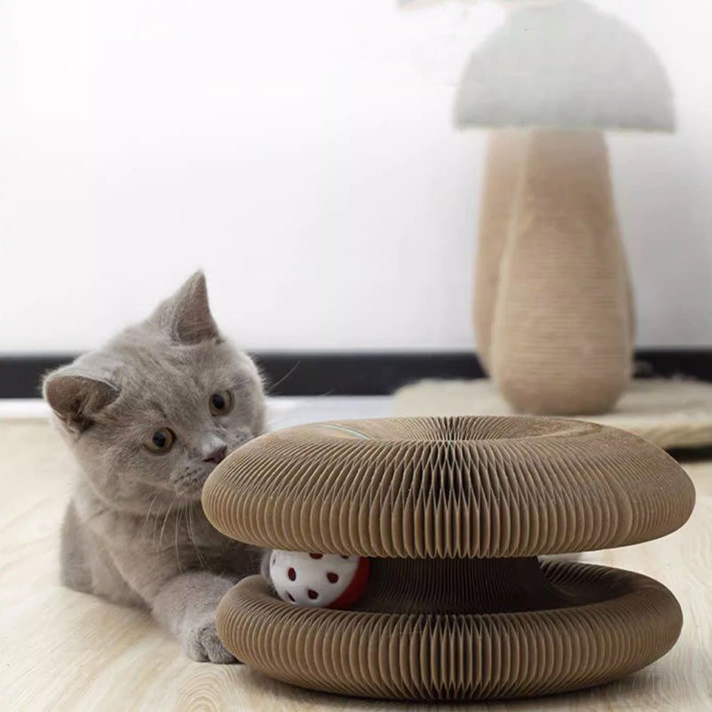 GRIFFOIR POUR CHAT | griffoir pour chat santé™ - opaschats