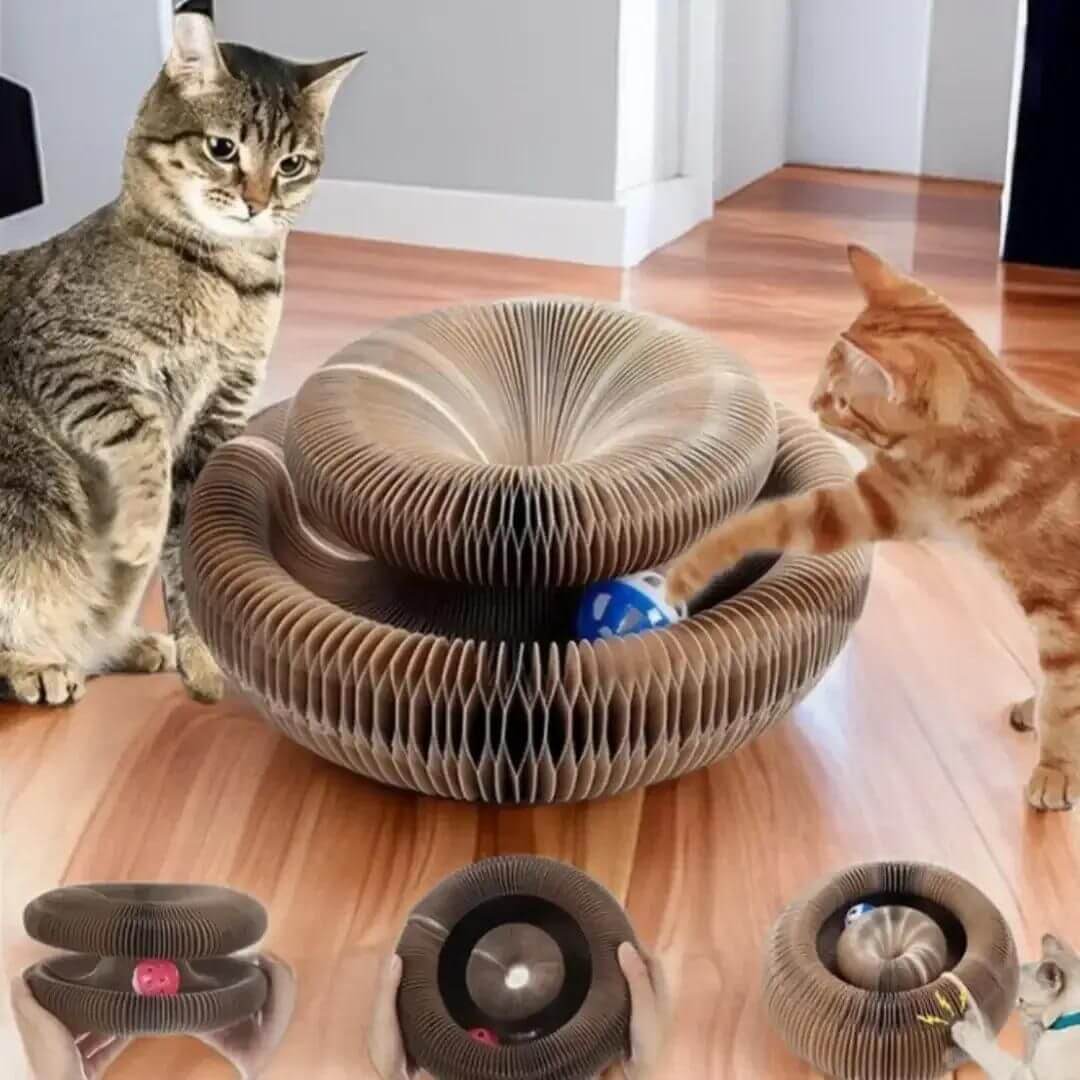 GRIFFOIR POUR CHAT | griffoir pour chat santé™ - opaschats