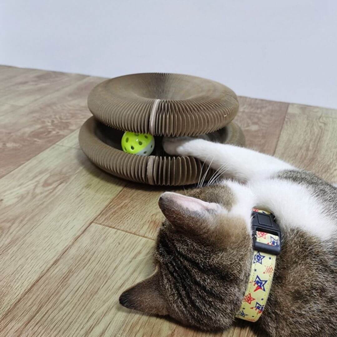 GRIFFOIR POUR CHAT | griffoir pour chat santé™ - opaschats