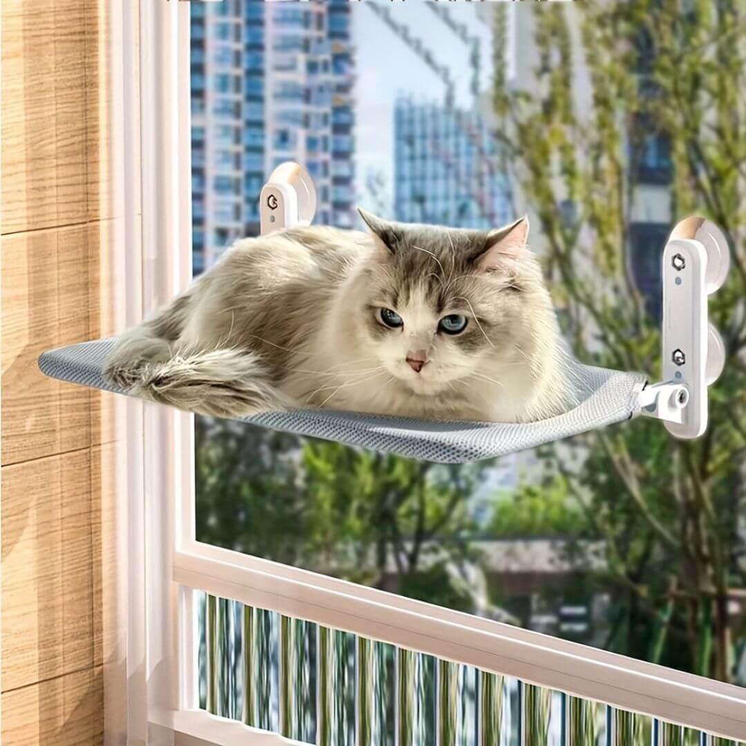 hamac chat fenetre gris