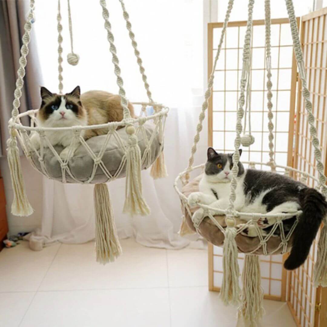 HAMAC CHAT | Hamac Suspenduâą - opaschats
