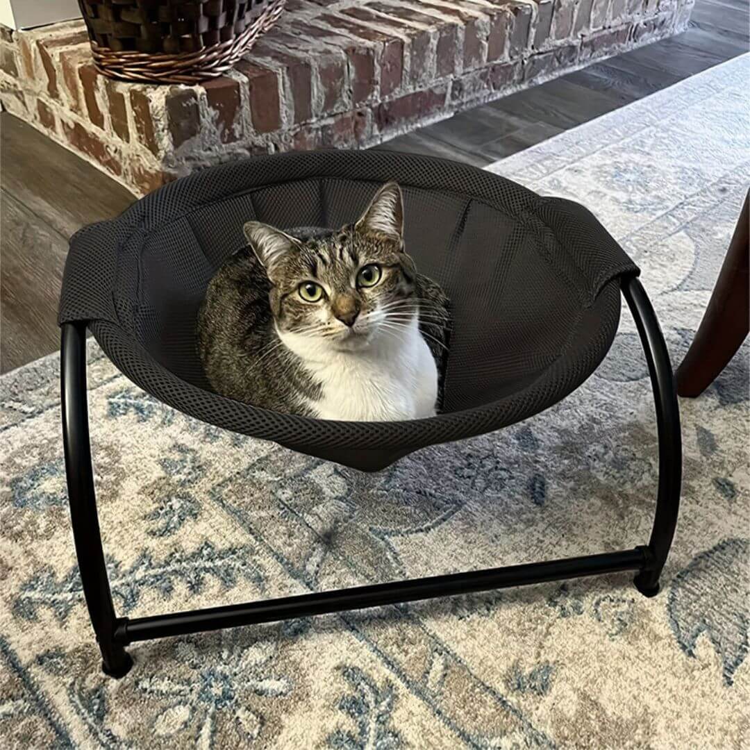HAMAC POUR CHAT | Cat Bedâą - opaschats