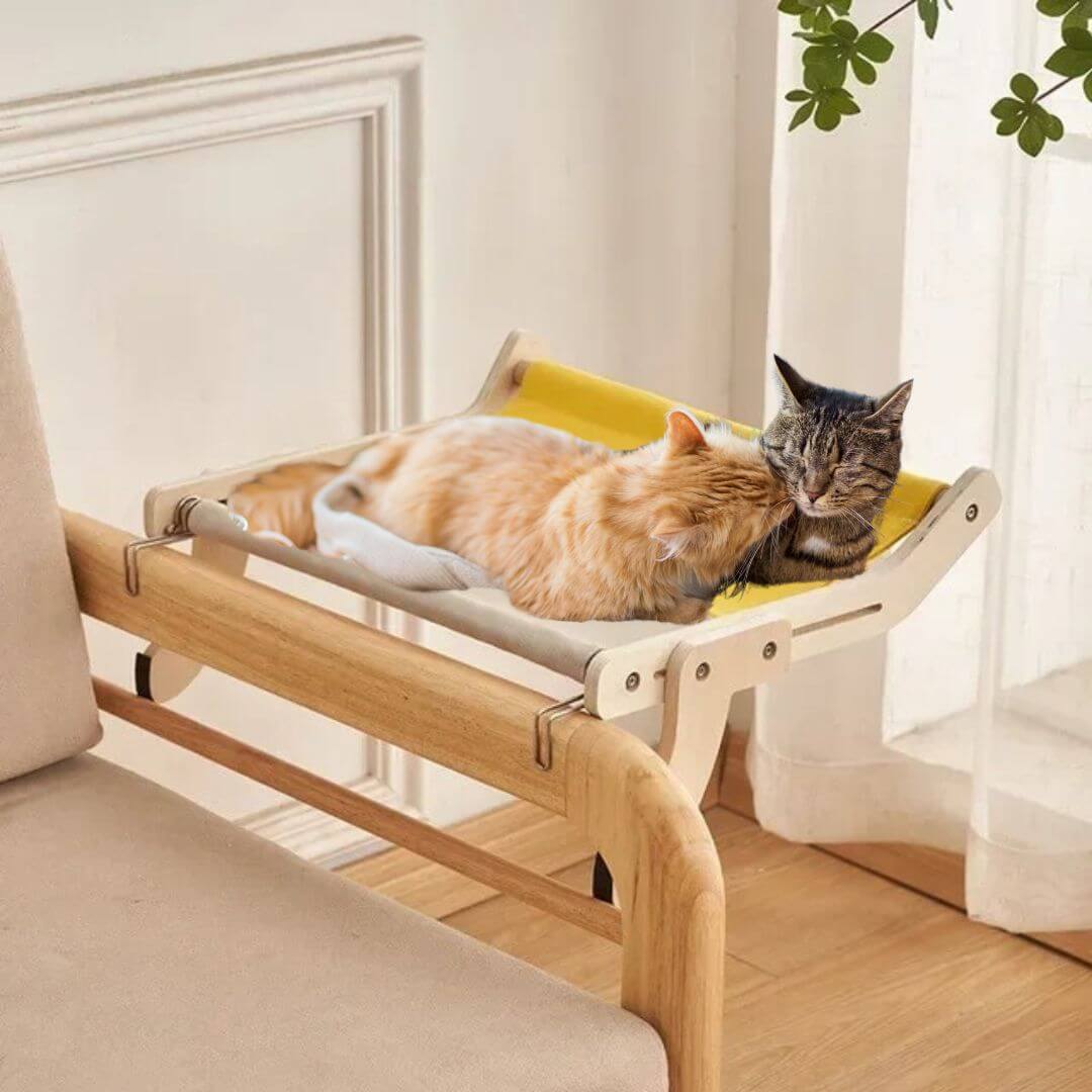 HAMAC POUR CHAT | Cat Hammock™ - opaschats