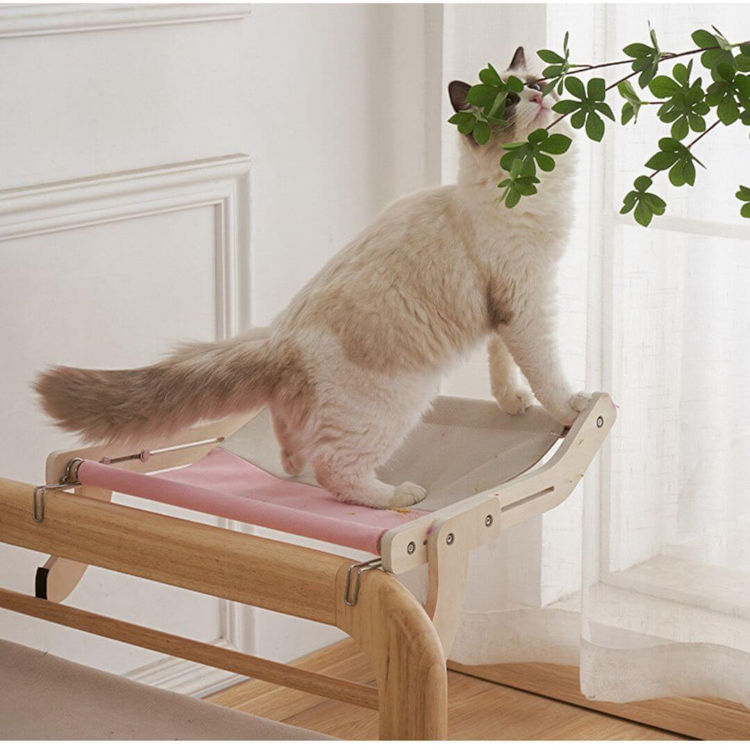 HAMAC POUR CHAT | Cat Hammock™ - opaschats