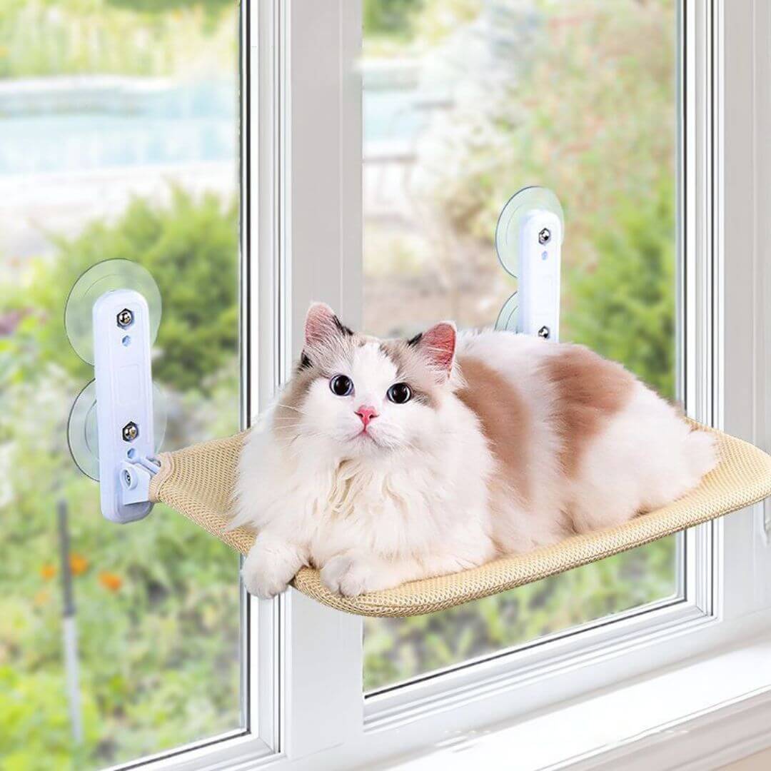 HAMAC POUR CHAT | Pratique & Élégant™ - opaschats