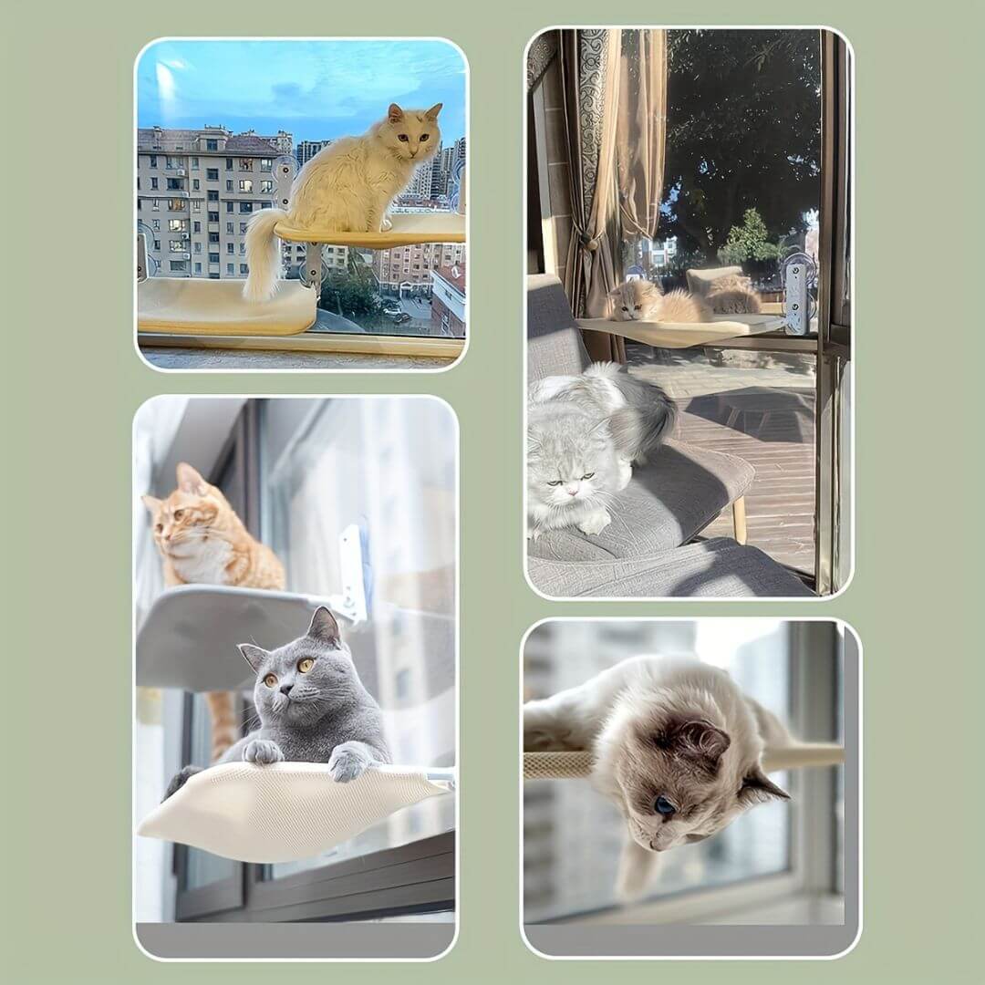 HAMAC POUR CHAT | Pratique & Élégant™ - opaschats