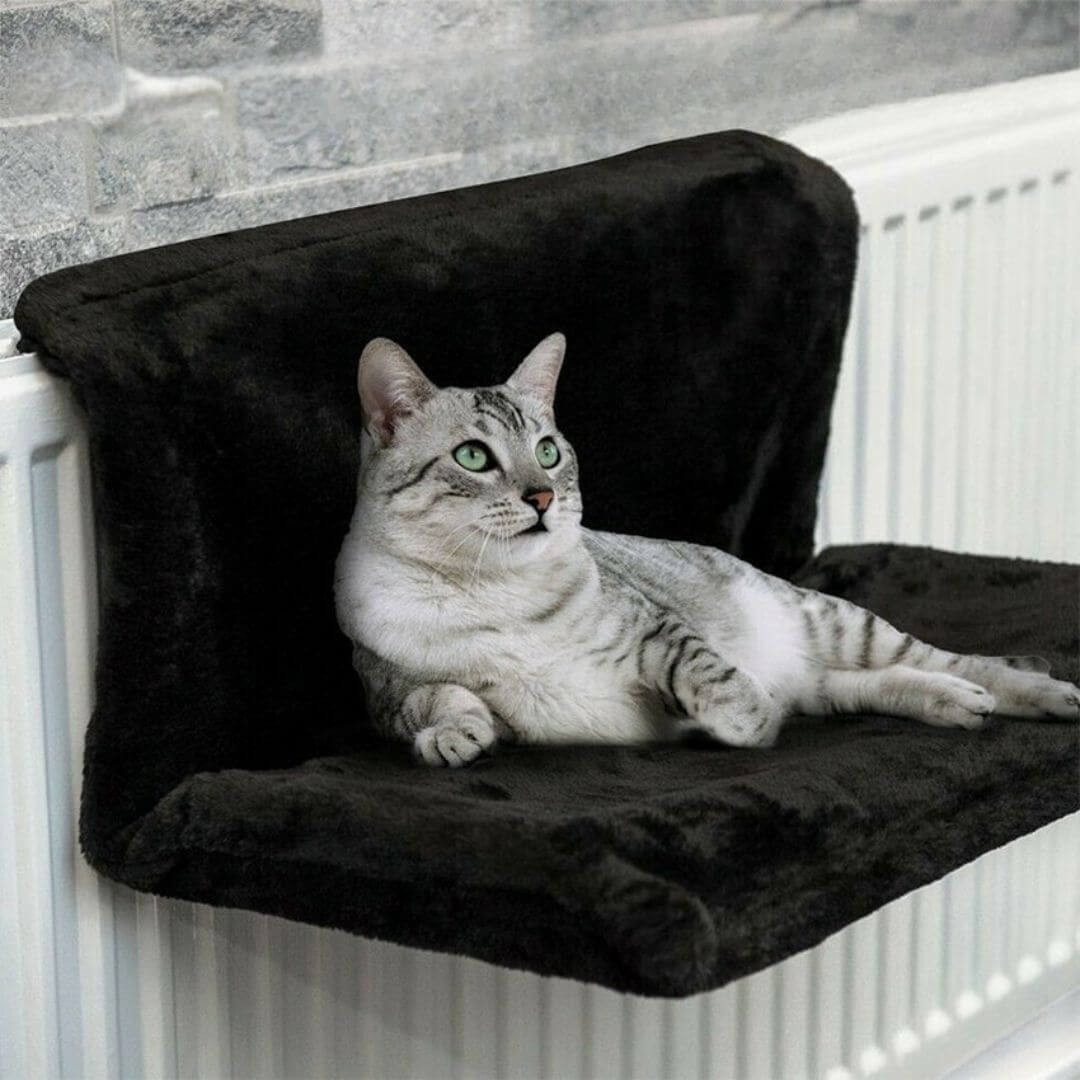 HAMAC POUR CHAT | Radiateur™ - opaschats