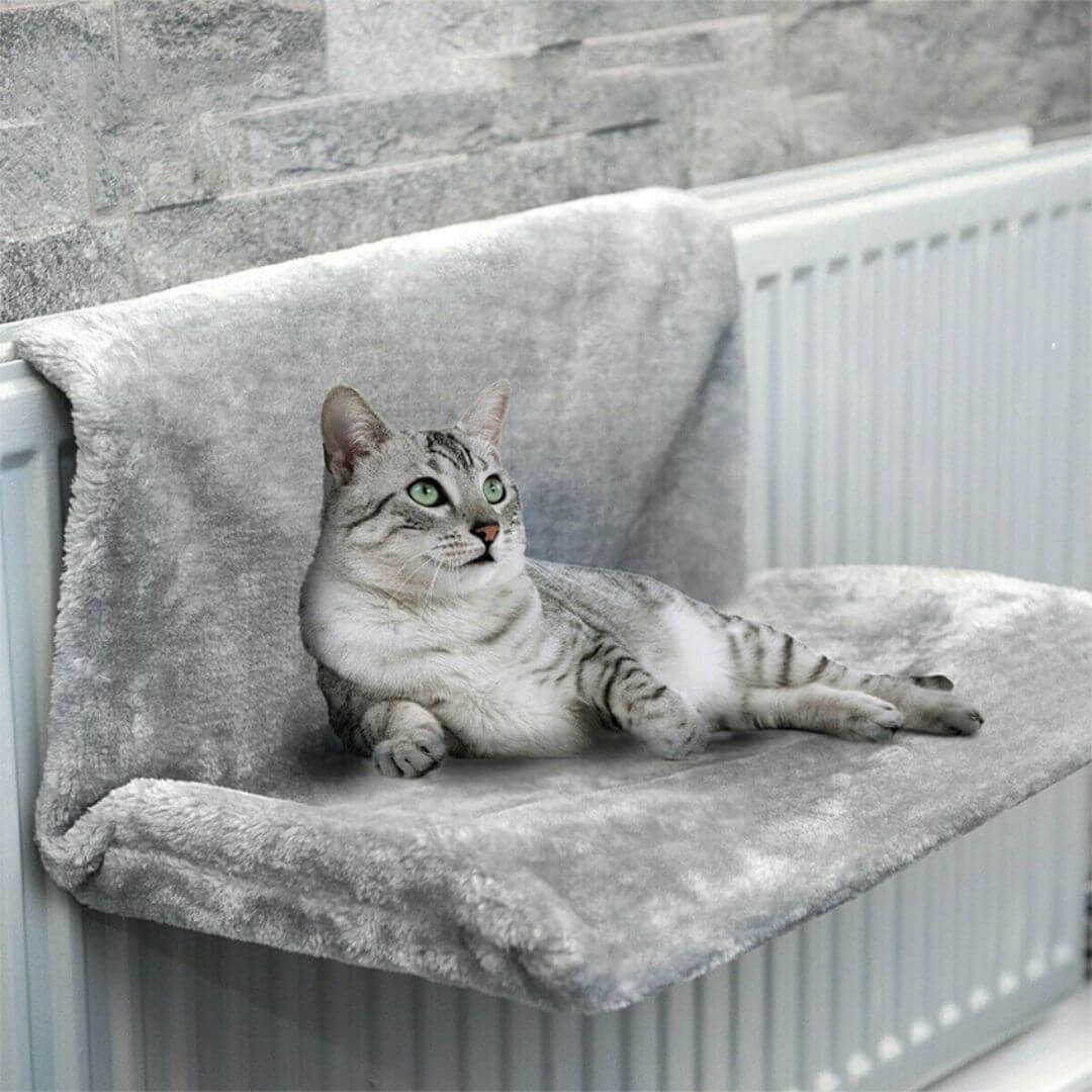 HAMAC POUR CHAT | Radiateur™ - opaschats
