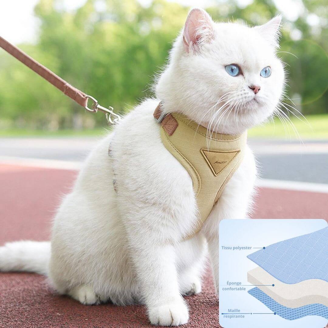 harnais | anti - cat scurfâą - opaschats
