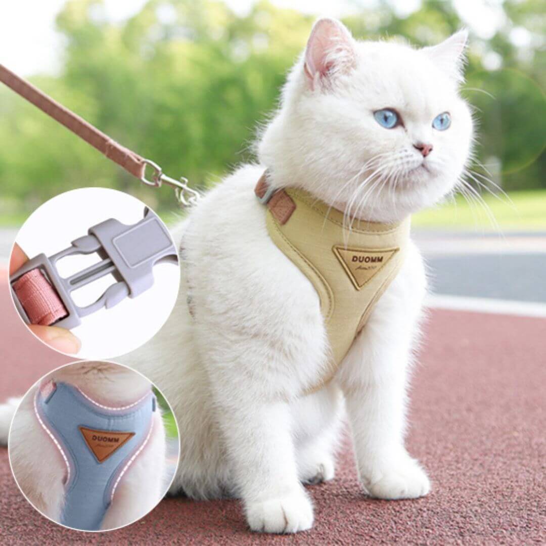 harnais | anti - cat scurfâą - opaschats