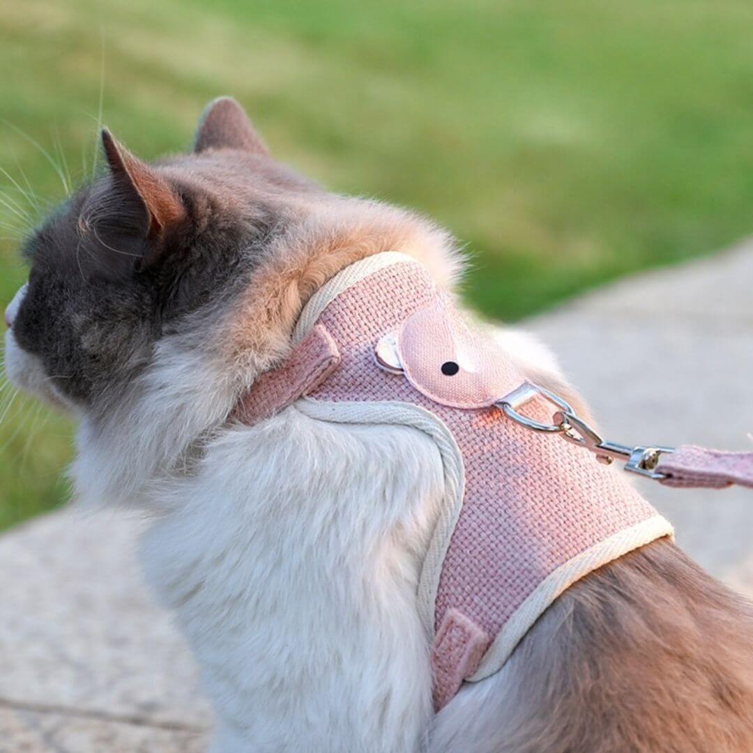 harnais chat | poppy - opaschats