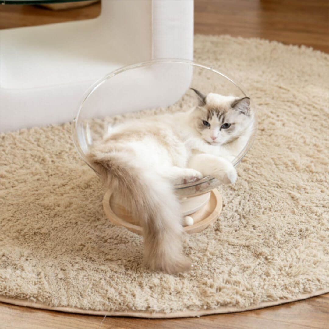lit pour chat | capsule spatiale - opaschats