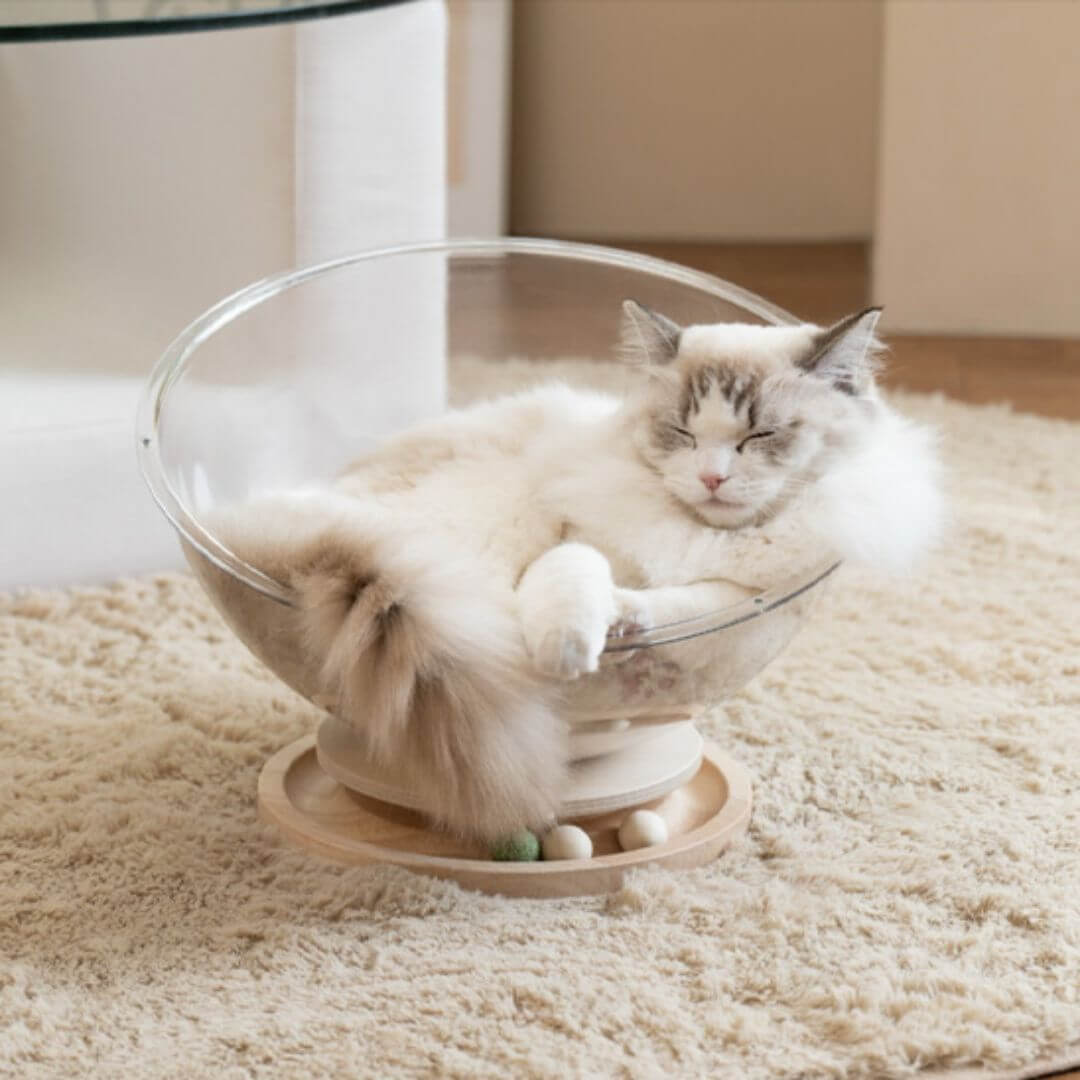 lit pour chat | capsule spatiale - opaschats
