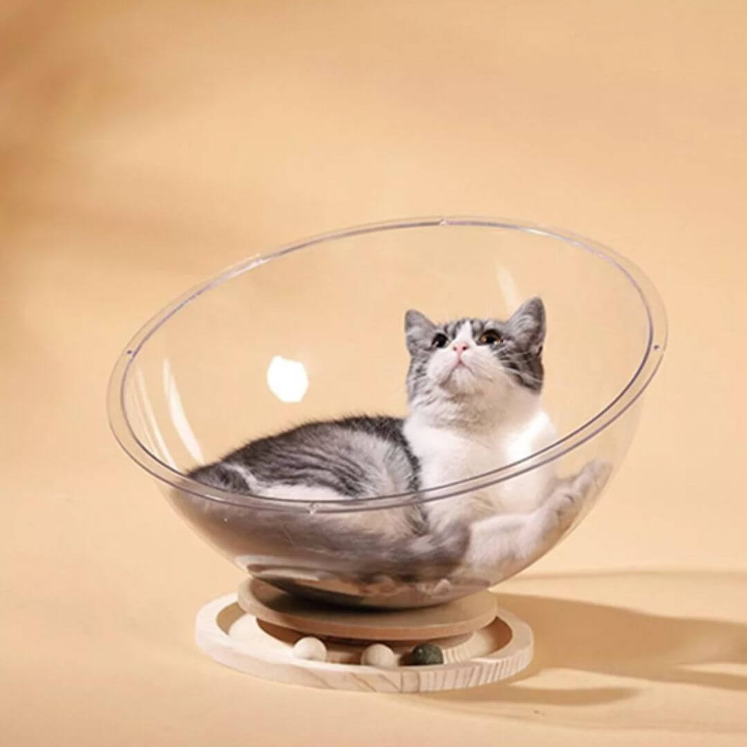 lit pour chat | capsule spatiale - opaschats