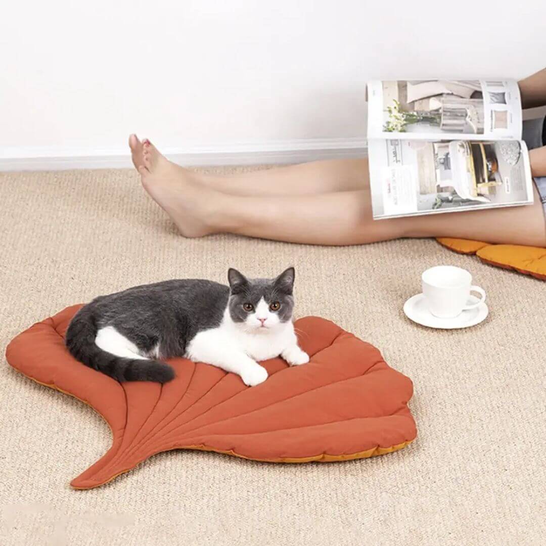 LIT POUR CHAT | Feuille Automne™ - opaschats