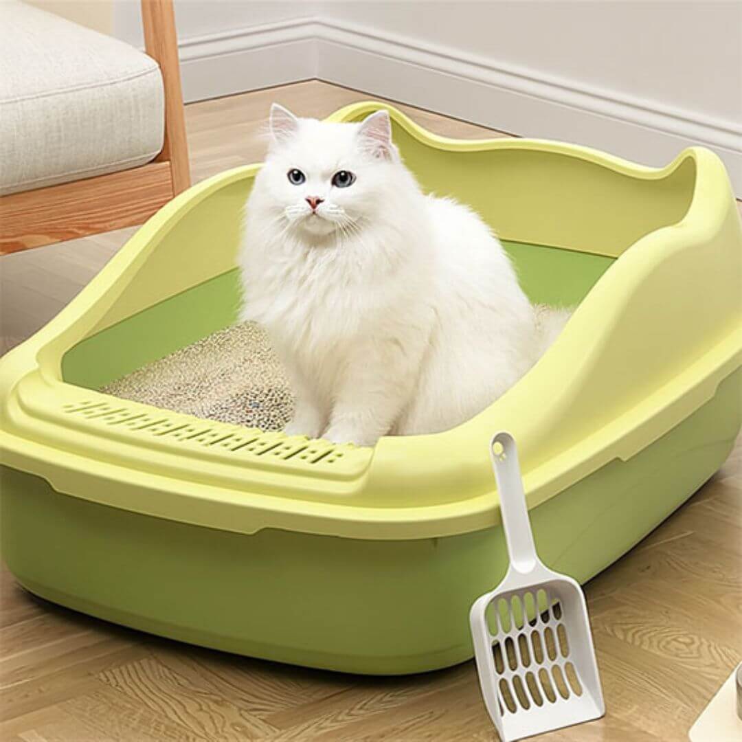 LITIÈRE POUR CHAT | Accès simple™ - opaschats