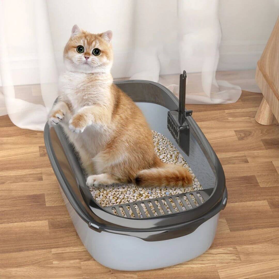 LITIÈRE POUR CHAT | Design simplifié™ - opaschats